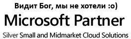 MS silver partner